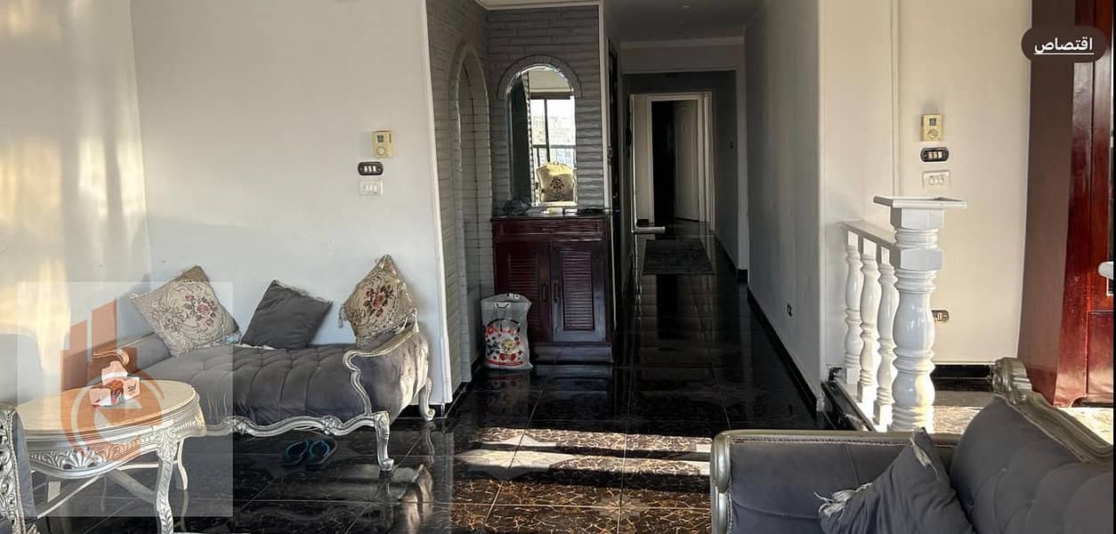 11 42d35dc8-0235-4c8e-bcb2-d2b440e00827. jpg