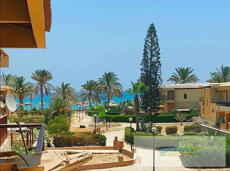 690481c001fd5_690481c001c12. jpeg 690481c001fd5_690481c001c12. jpeg