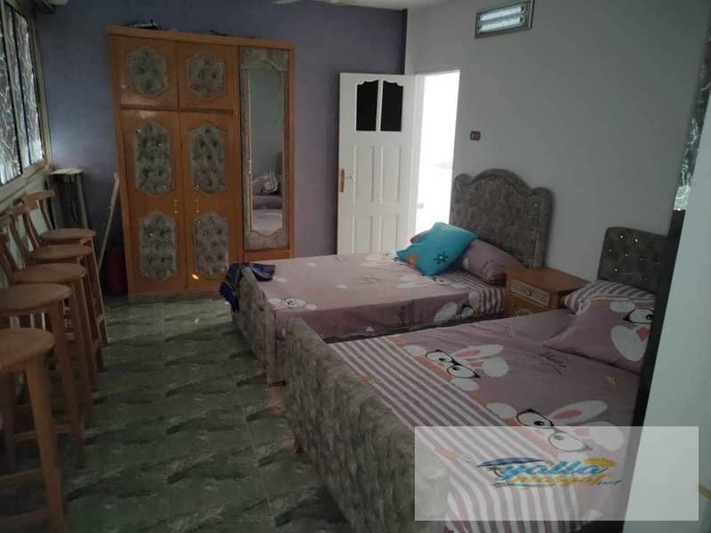 17 690481c236b9d_uploads690481c236a31. jpeg