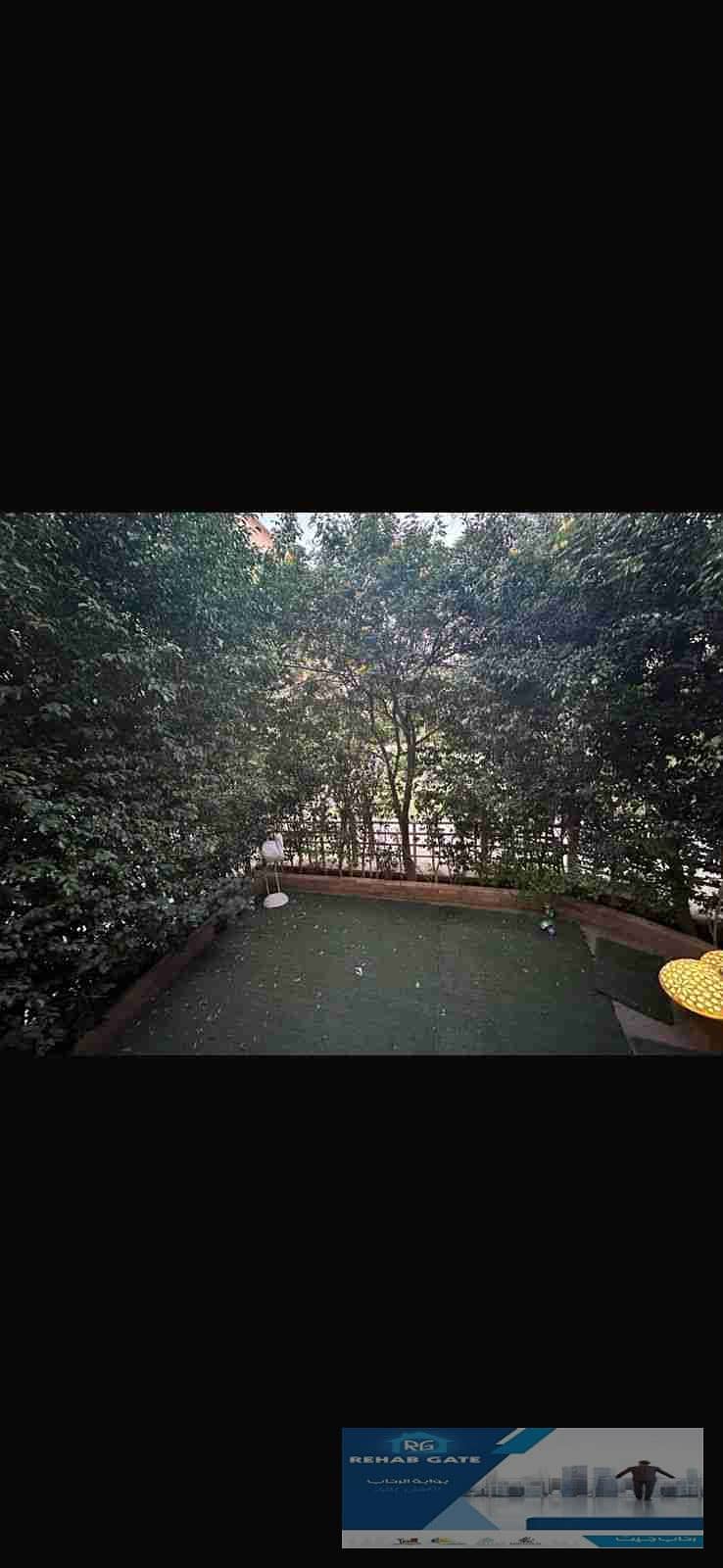 1000046309. jpg 1000046309. jpg