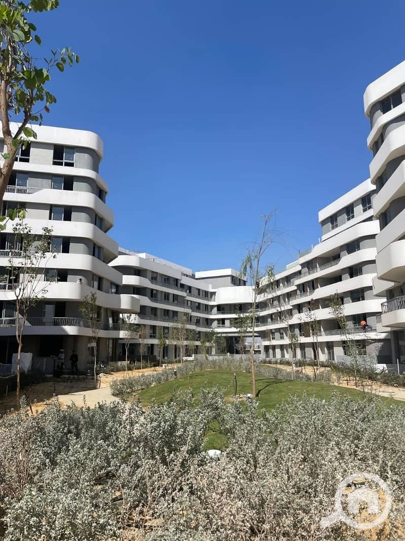 9 bf81fea0-4362-438b-ad07-6ababef41769. jpg