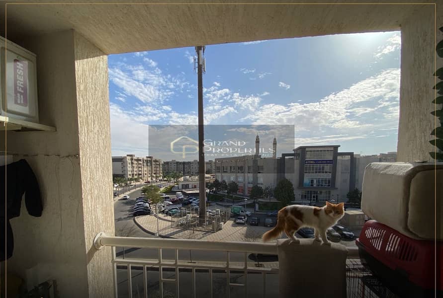 4 71eddc79-9719-4125-9d9f-0a6f1cf1a129. jpg