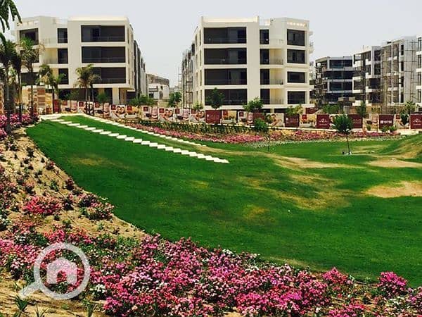 7 81d47564-4ac8-4e6f-b0a5-76f9f7152321 - Copy. jpg