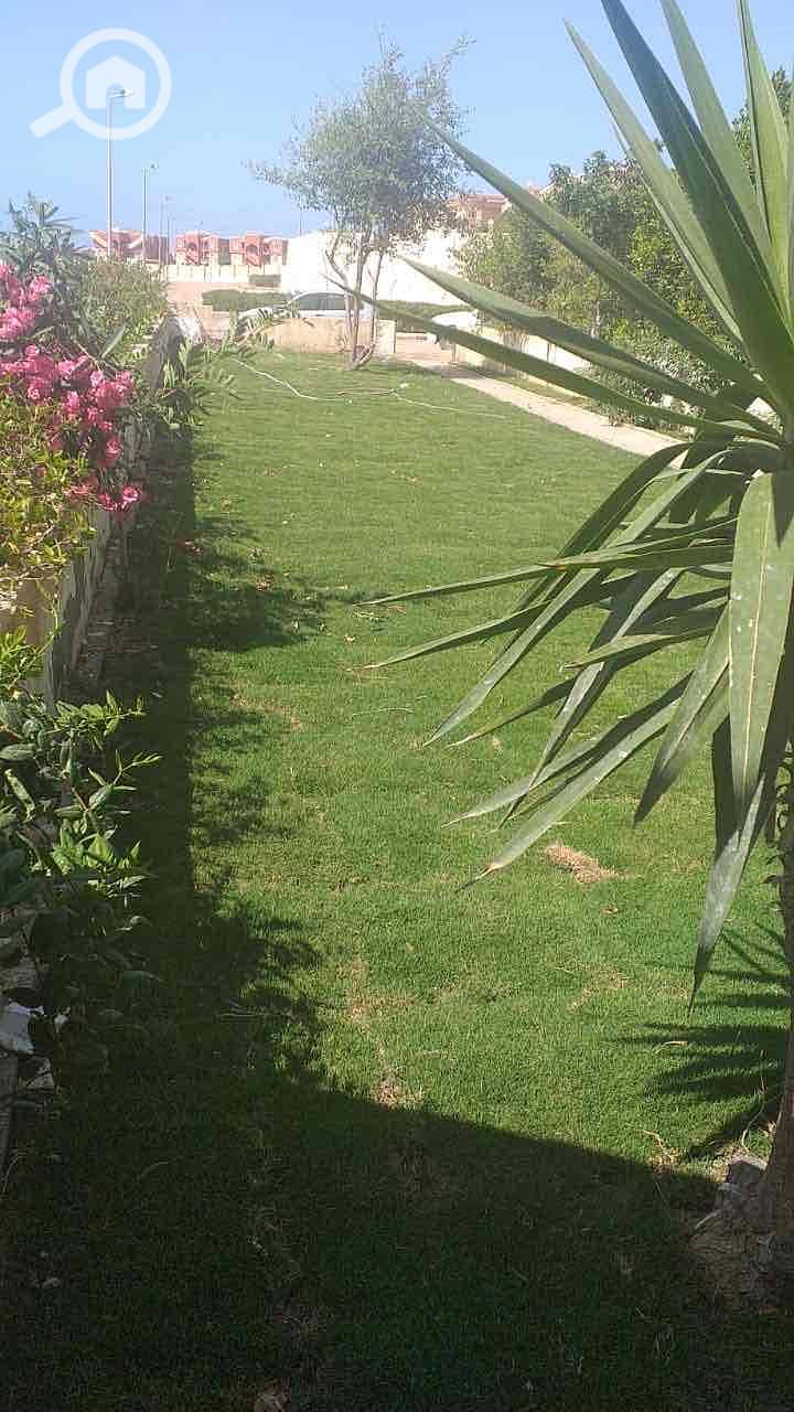 4 e6c8321e-b446-4cc7-89ba-e2aac1ab549a. jpg