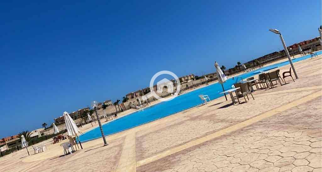 7 b5f33873-d3bb-4523-9506-ca994130db7c. jpg