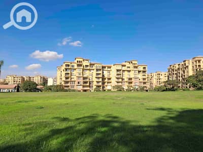 4 Bedroom Flat for Sale in Madinaty, Cairo - 1000076249. jpg 4 Bedroom Flat for Sale in Madinaty, Cairo - 1000076249. jpg