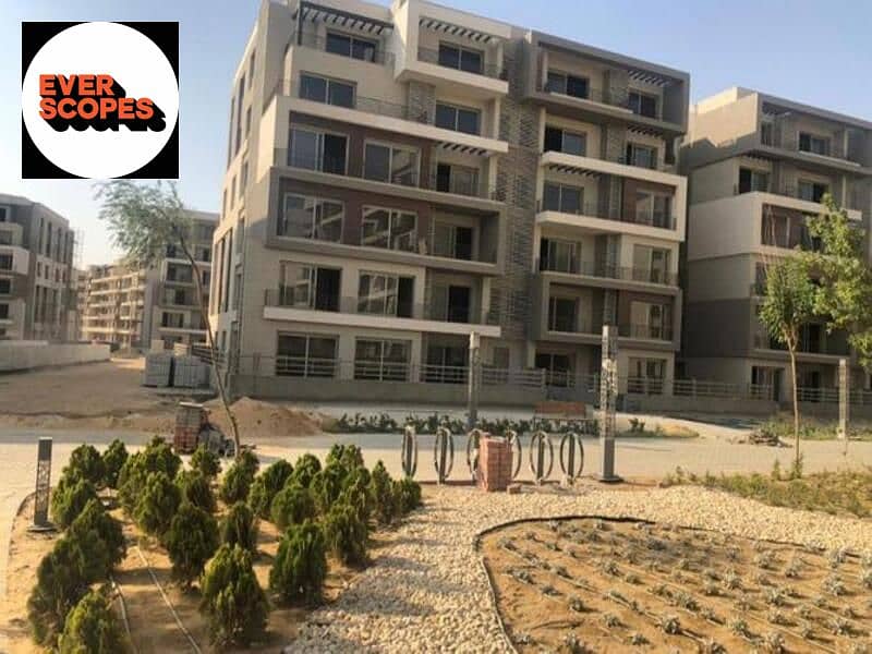 2 3727537-d1d92o. jpg