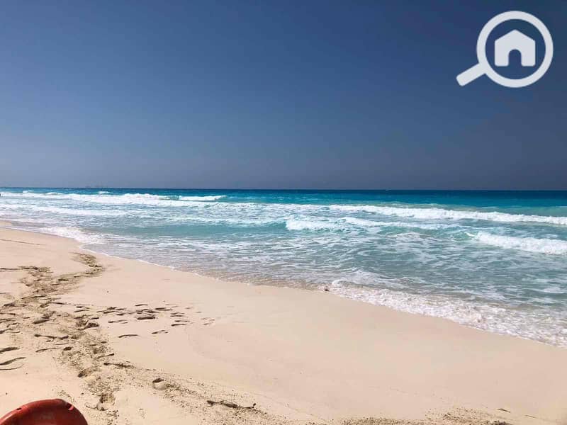 16 e16421a5-8131-40da-97d3-fdc971df6883. jpg