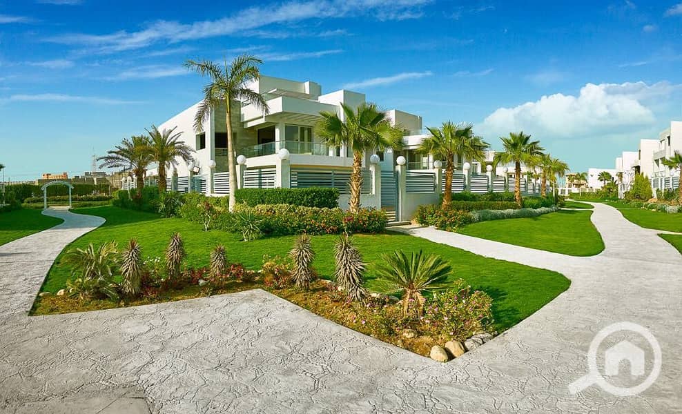 IMG-20250309-WA0214. jpg