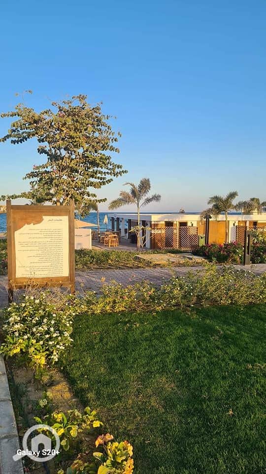 3 435110276_1642111746325749_4259056892867923017_n. jpg