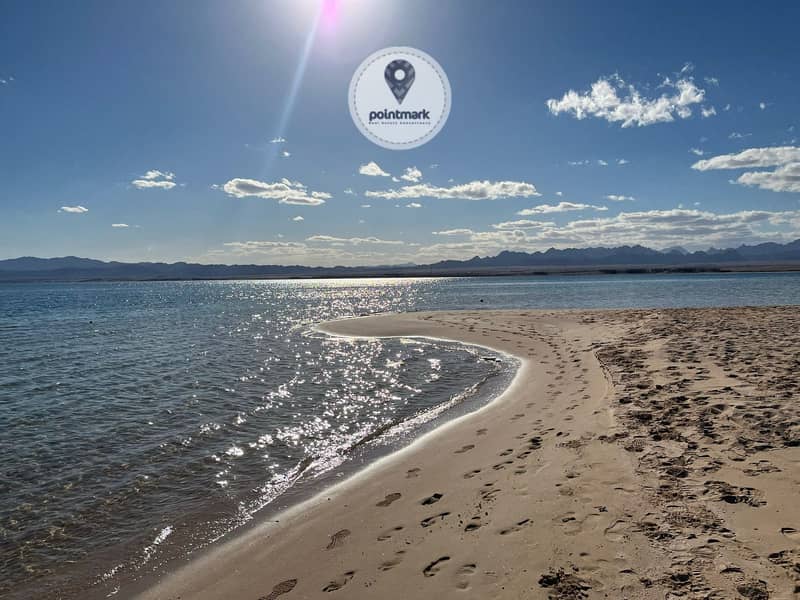 5 WhatsApp Image 2025-09-07 at 16.55. 06_5872e758. jpg