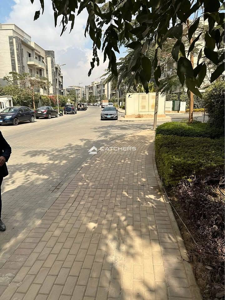 8 477403773_637171352175074_6327586095275914028_n. jpg