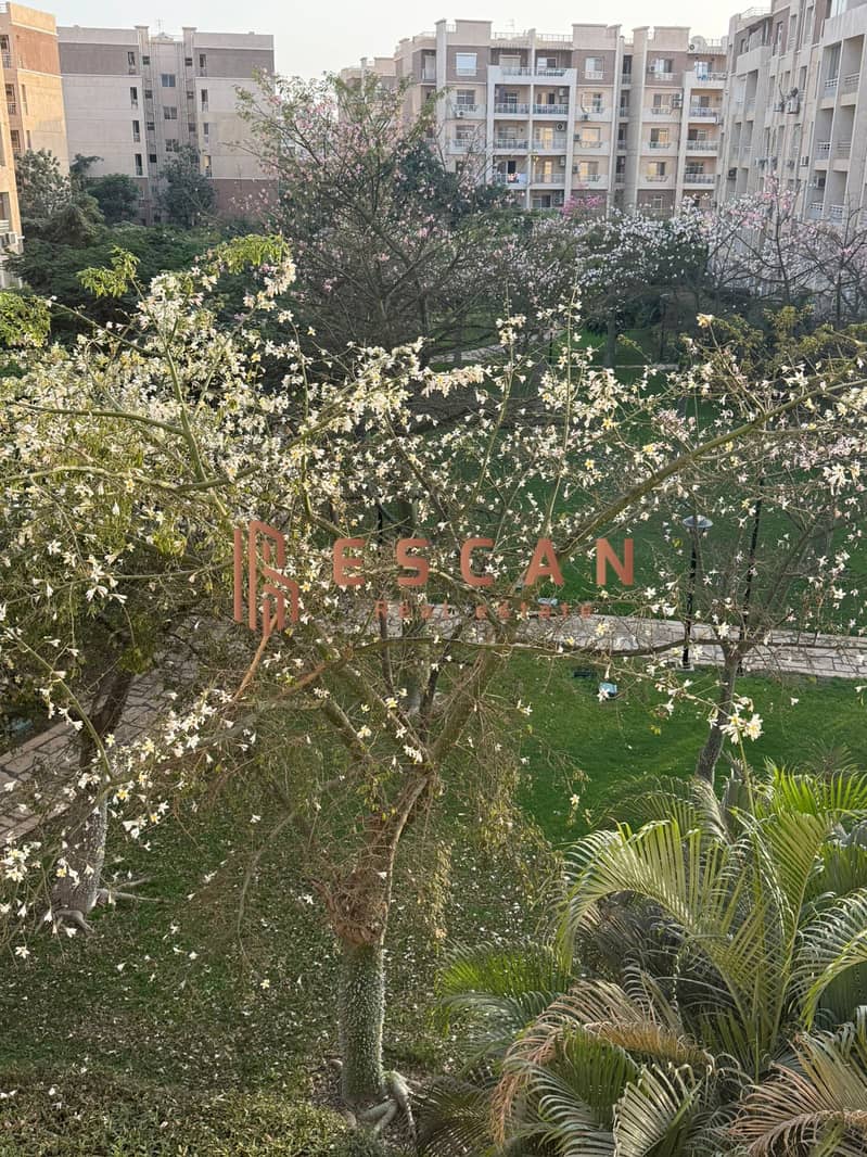 3 IMG-20251118-WA0270. jpg