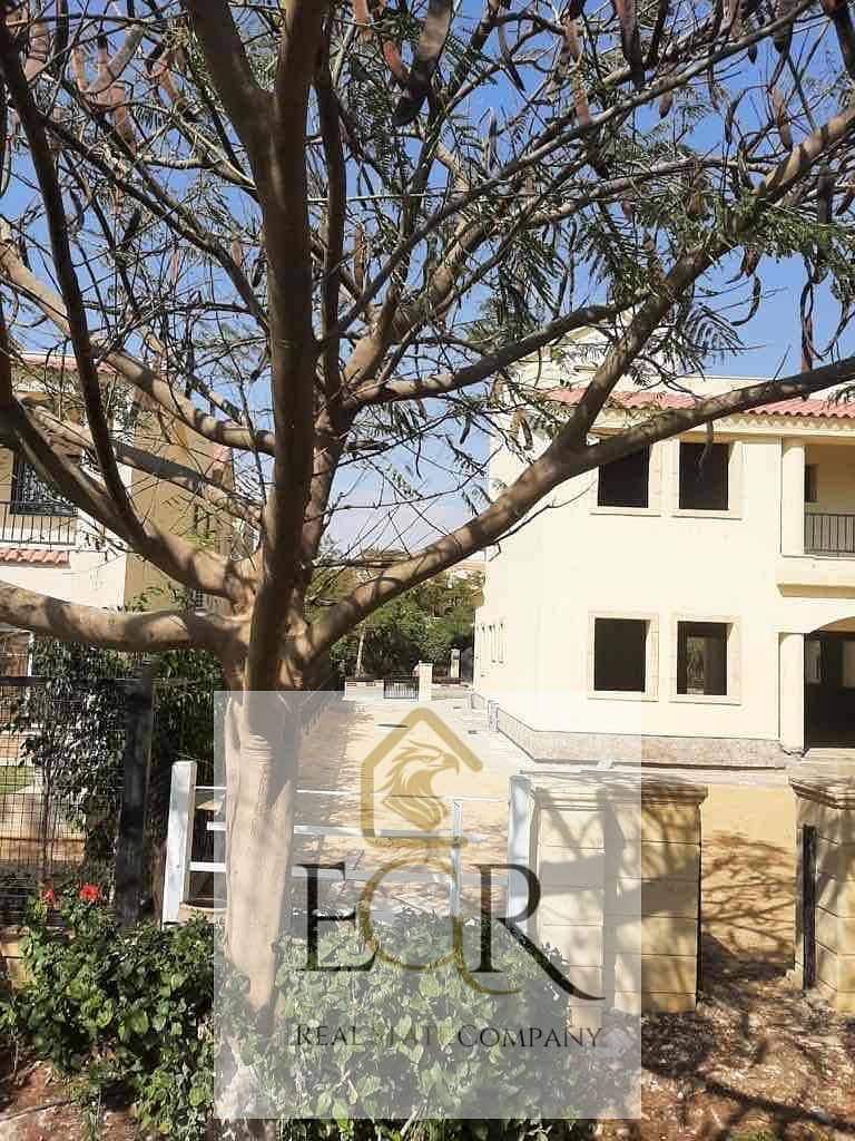 8 e81d8bab-b395-44b3-8d0f-80c45622e04b. jpg