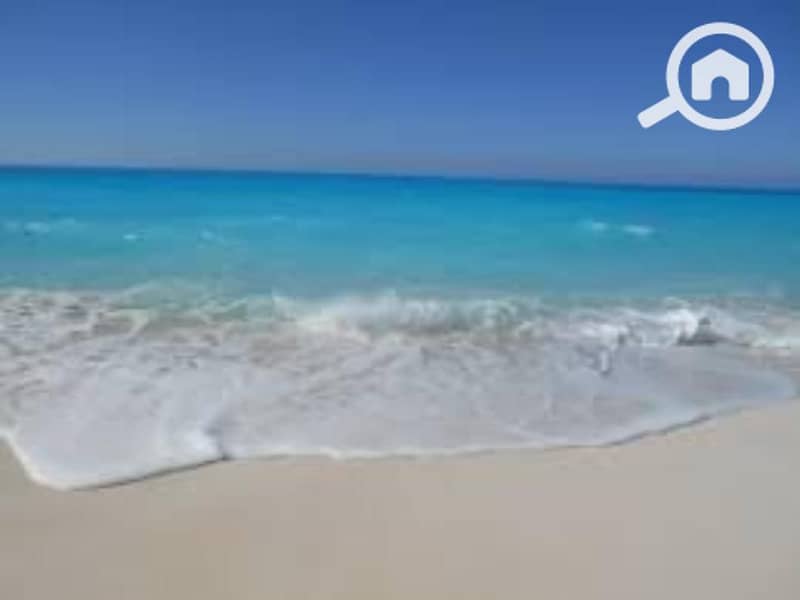 10 images (3). jfif. jpg