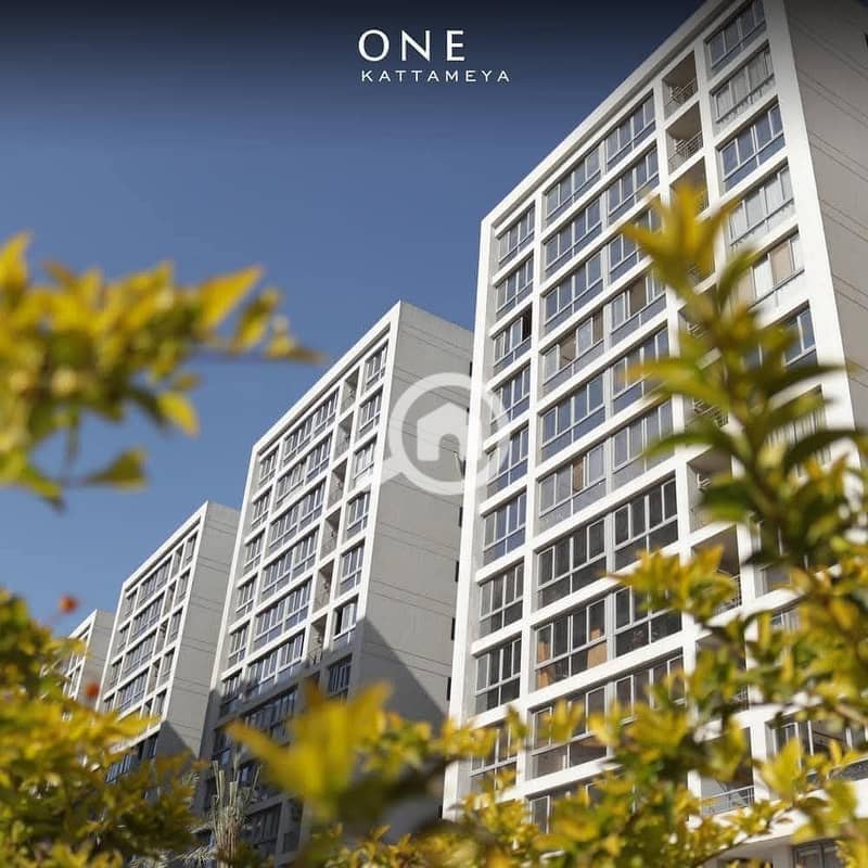 12 وان قطاميه             . jpg