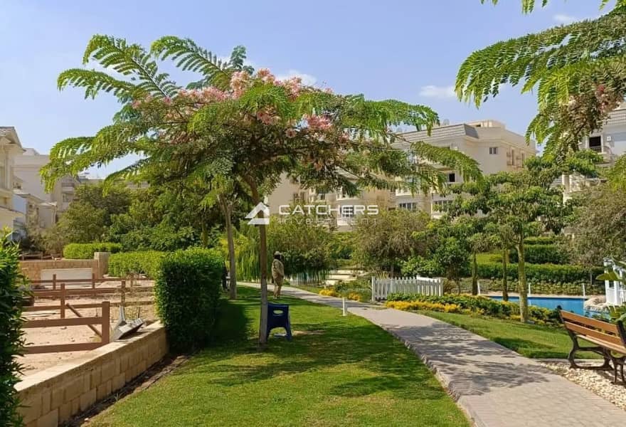 7 e6f813e4-c2f0-4245-92fd-ea91adbd5f0f. jpg