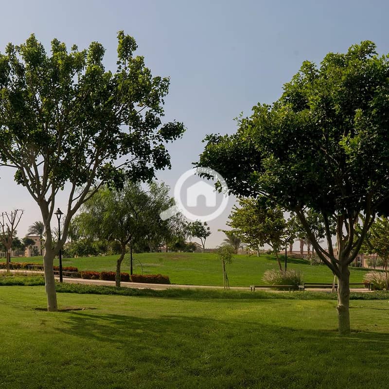 10 386245411_707210301452700_3418389226891919681_n. jpg