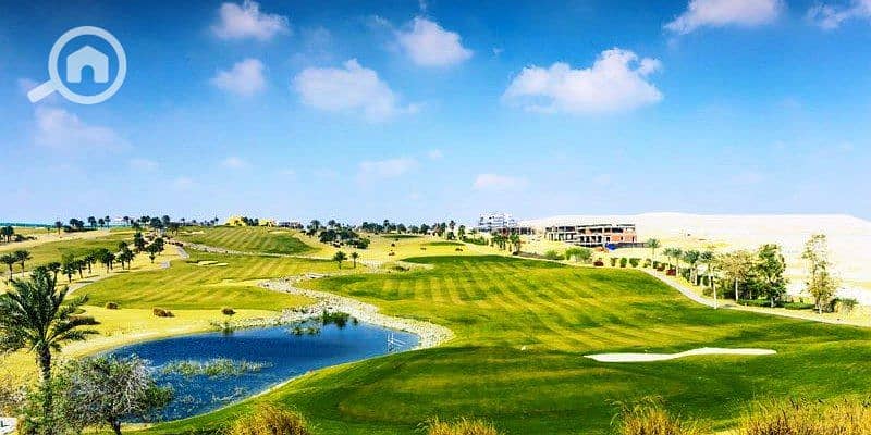 10 photo_5_2025-01-30_17-23-50. jpg