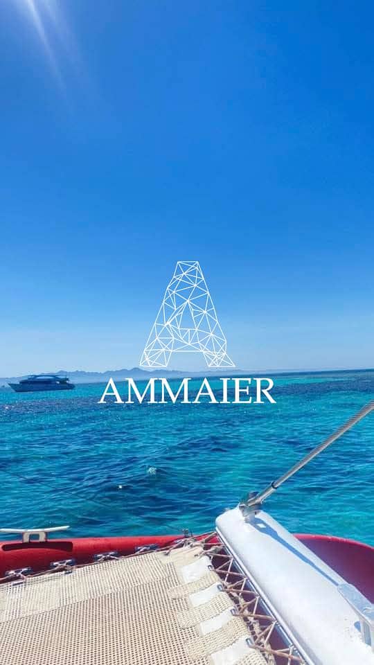 5 23b415fe-ce01-4bc3-9a12-5c5e08a88a3c. jpg