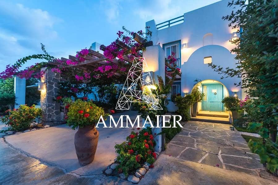 8 69382175-5470-475d-b3c8-20ed86c1c9c1. jpg