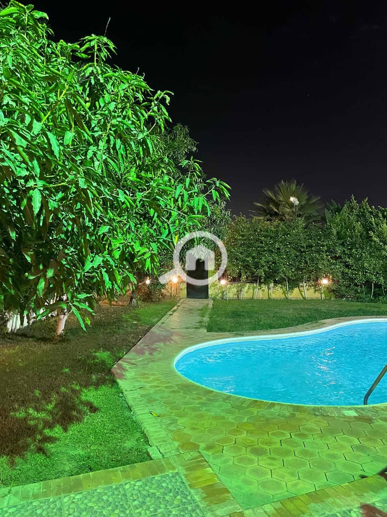 2 46efb23b-4227-4f74-af0c-67c183afb241. jpg