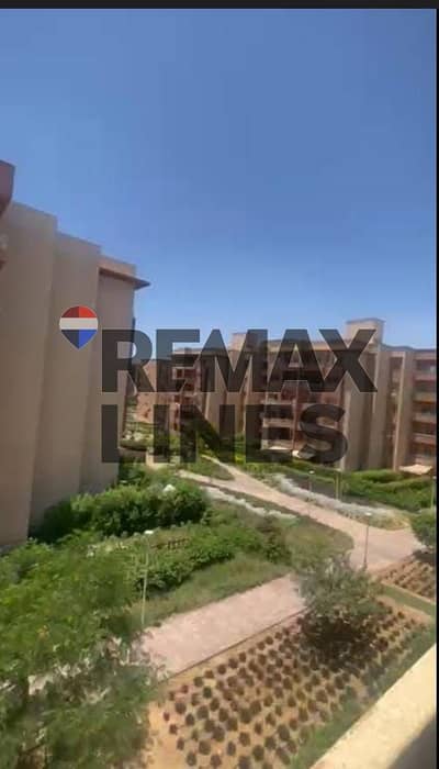 3 Bedroom Flat for Rent in Shorouk City, Cairo - WhatsApp Image 2025-12-07 at 12.07. 27 PM. jpeg