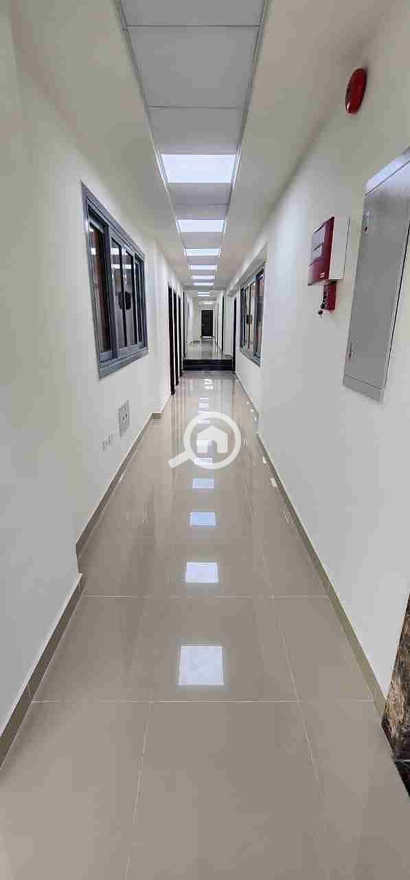 1000013189. jpg 1000013189. jpg