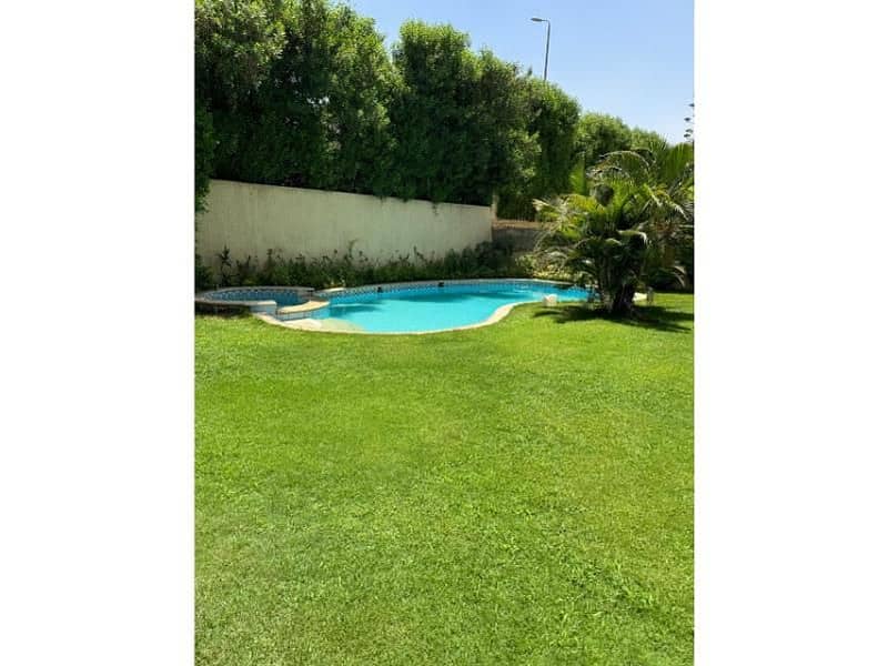 13 d9559e9a-a6e3-4e25-879e-ee38d4c6766b. jpg