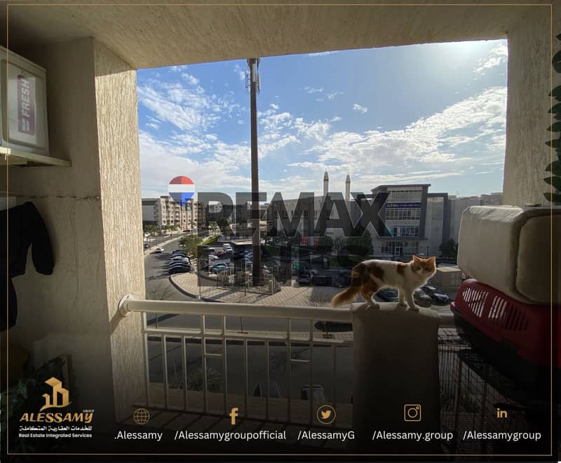 4 WhatsApp Image 2025-12-07 at 3.22. 40 PM. jpeg