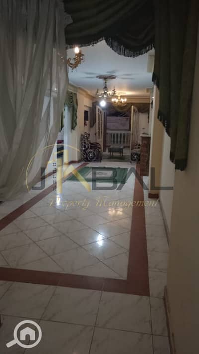 3 Bedroom Flat for Rent in Miami, Alexandria - WhatsApp Image 2025-12-07 at 7.31. 31 PM (2). jpeg