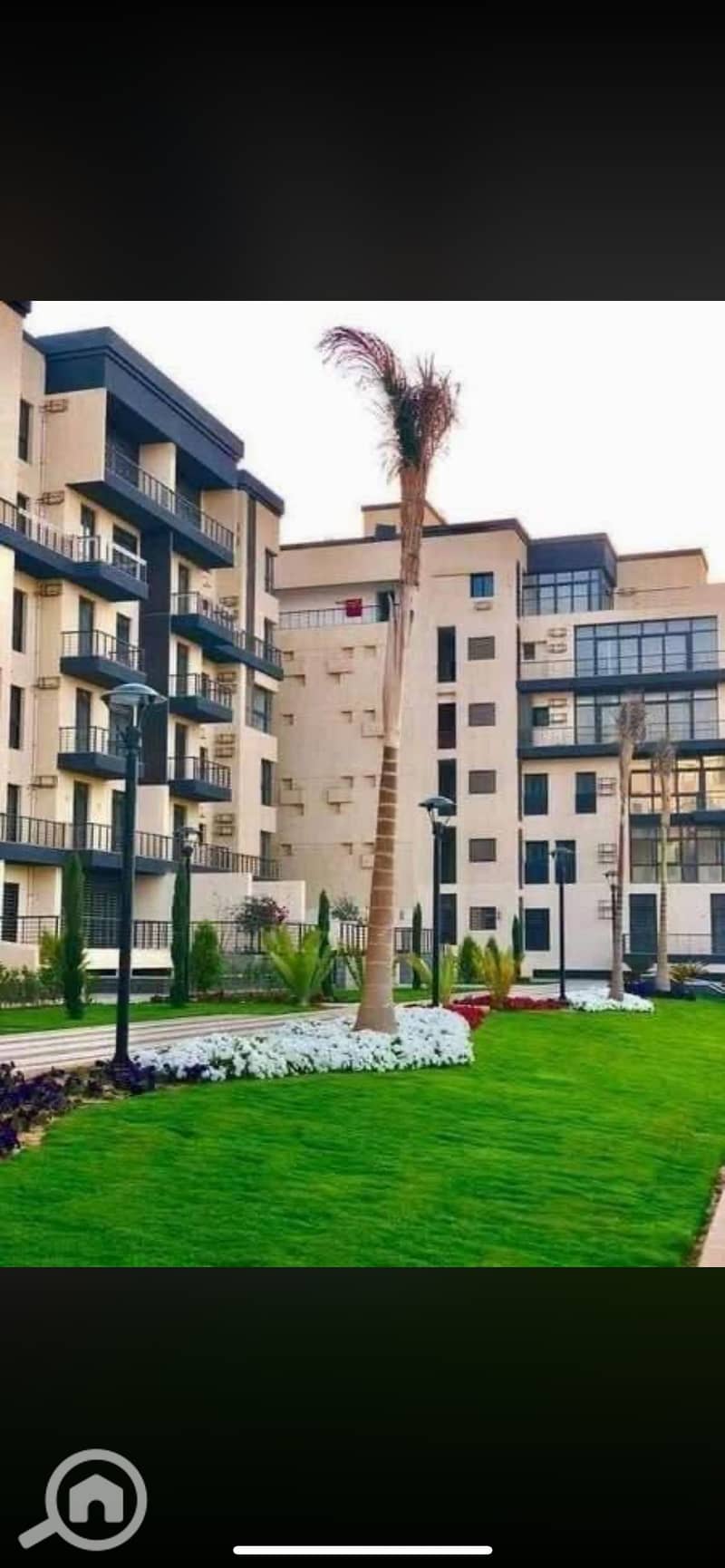 IMG_8319. png IMG_8319. png