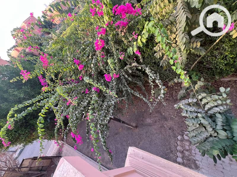 19 WhatsApp Image 2025-12-07 at 5.41. 50 PM (1). jpeg