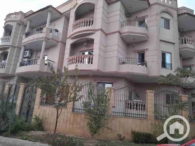 فلیٹ 3 غرف نوم للايجار في القاهرة الجديدة، القاهرة - 1000210753. jpg فلیٹ 3 غرف نوم للايجار في القاهرة الجديدة، القاهرة - 1000210753. jpg