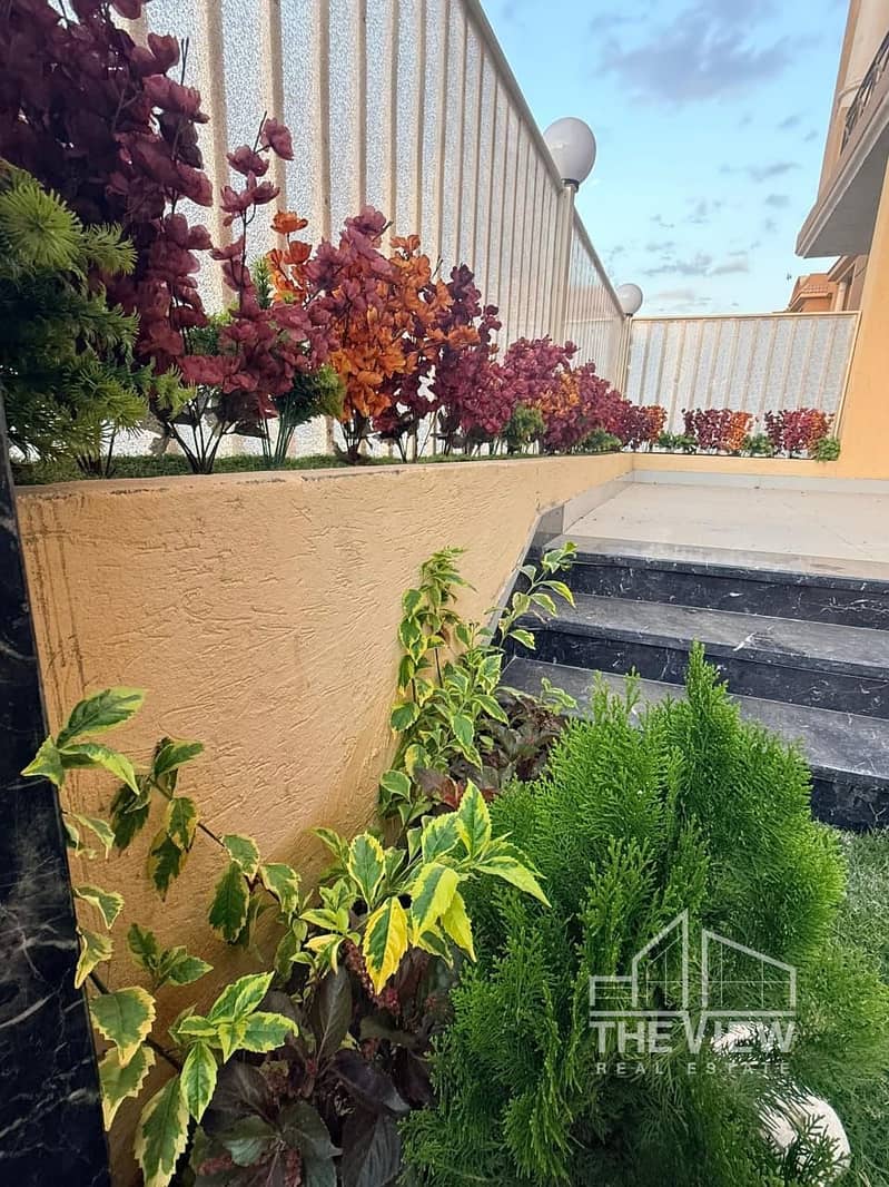 14 WhatsApp Image 2025-11-16 at 22.19. 12_e9a8aa50. jpg