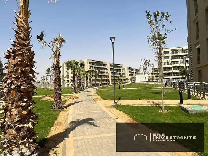 6 586553153_4030261737239402_7110121048035138110_n. jpg