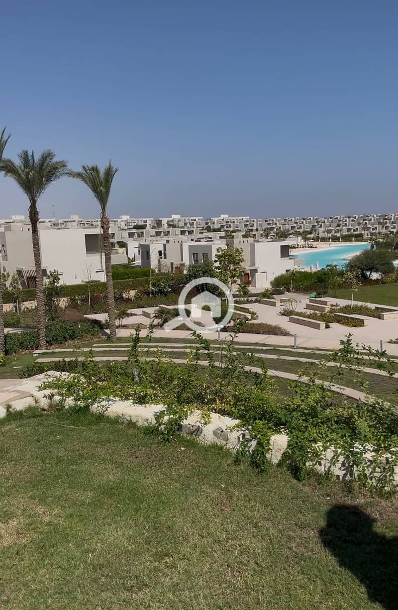 10 photo_2025-02-21_18-50-16. jpg