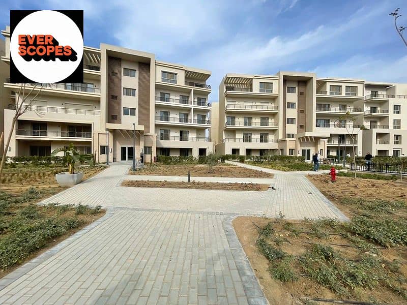 11 439205084_10168800644920058_6366380167485297888_n. jpg