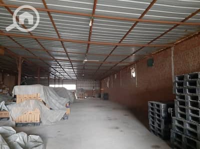 Warehouse for Rent in 6th of October, Giza - مخزن ومصنع نحو 900 م موقع متميز ناصيه محوريين ش البنوك الصناعيه اكتوبر