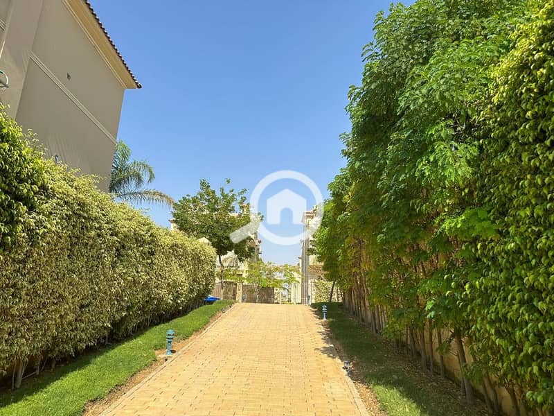 3 photo_2025-03-19_06-37-24. jpg