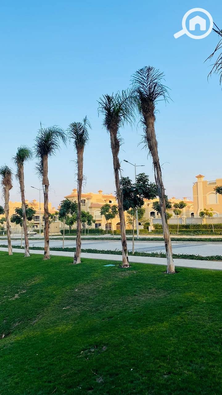 4 photo_2023-12-06_21-17-57. jpg