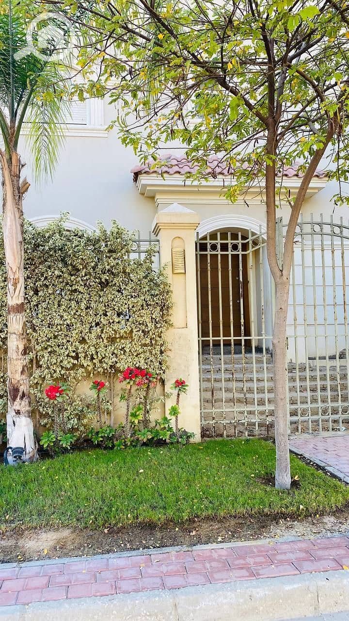 10 photo_2025-02-19_04-17-34. jpg