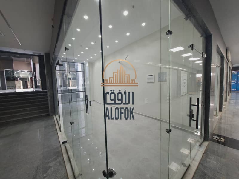 3 ٢٠٢٥١٢٠٢_١٤١٢٣٥. jpg