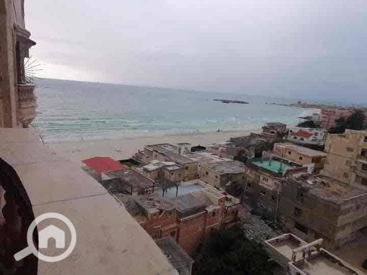 4 ca22231f-ab57-4686-9cd7-cbc12487d250. jpg