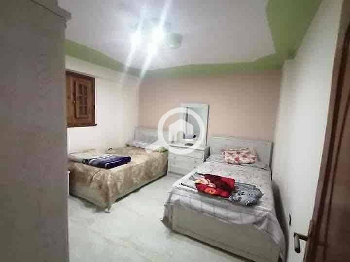 11 72cf8dc9-b2f8-4980-96c7-267b94852ab5. jpg