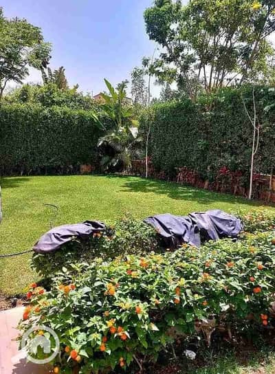 5 Bedroom Villa for Sale in Sheikh Zayed, Giza - 1000448323. jpg 5 Bedroom Villa for Sale in Sheikh Zayed, Giza - 1000448323. jpg