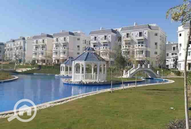 12 images - 2025-12-08T002805.603. jpeg