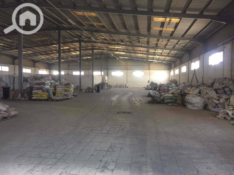 2 IMG_3745_Original. jpg