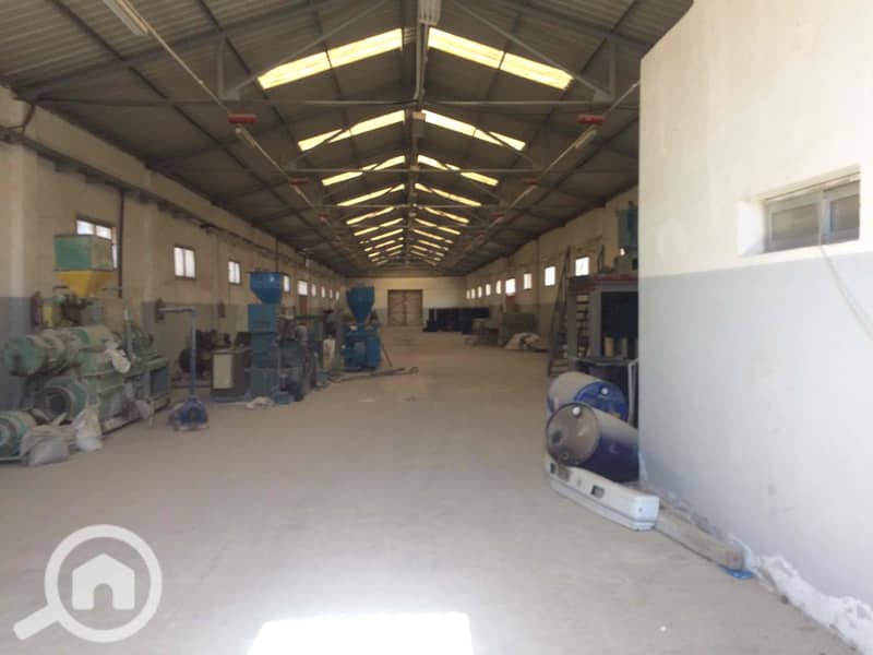 3 IMG_3749_Original. jpg