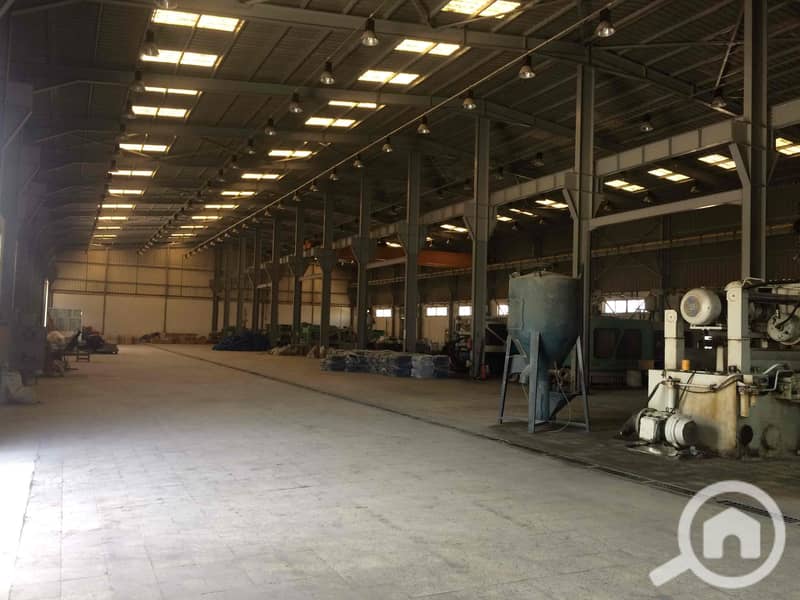 4 IMG_3739_Original. jpg